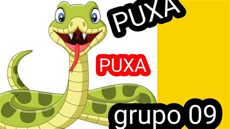 puxadas da cobra jogo do bicho